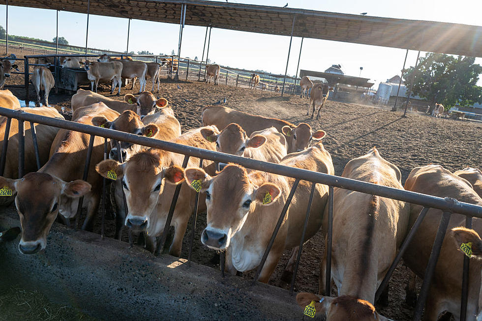 Sunnyside Gets Big State Grant for Renewable Ag Energy Project