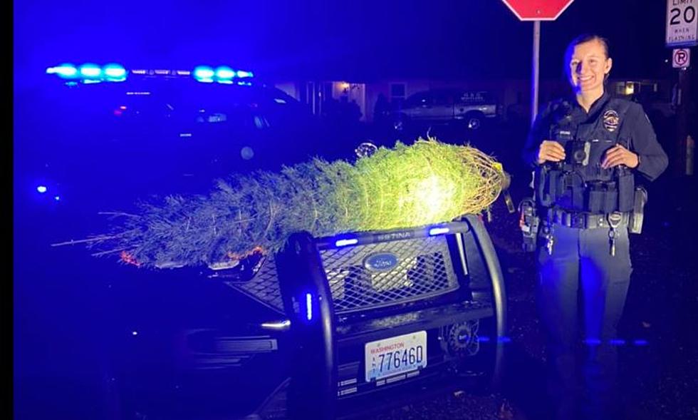 Grinch Tree Thief Apprehended by Kennewick Police