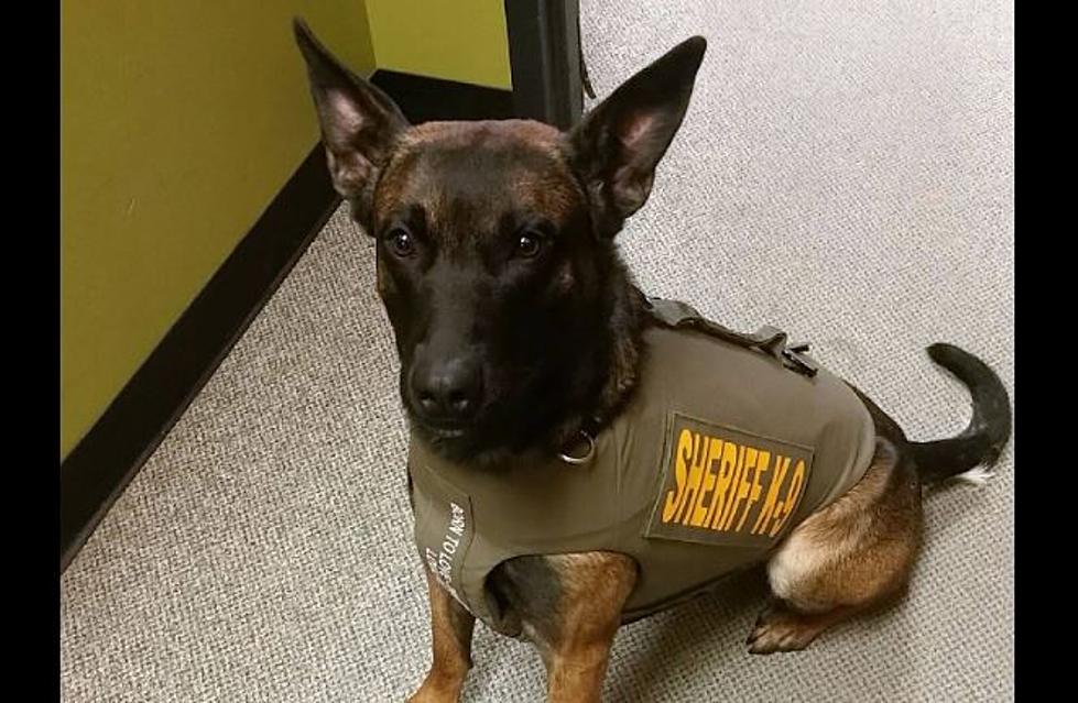 Temps Too Cold for Grant County K-9 to Track DV Suspect 