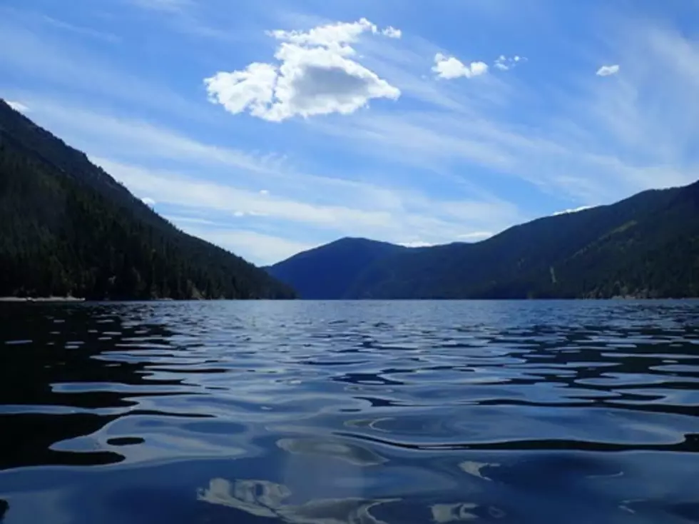 WA Considers Introducing Bull Trout into Sullivan Lake