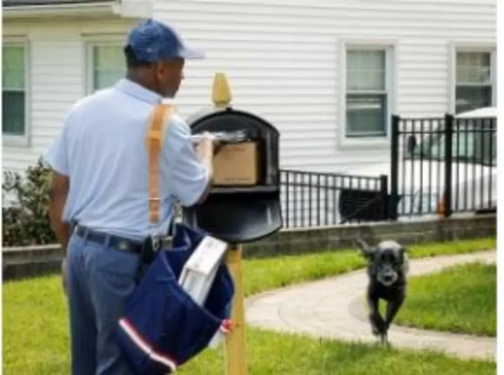 Where Does Tri-Cities, and WA Rank in Dogs Biting Mailmen?