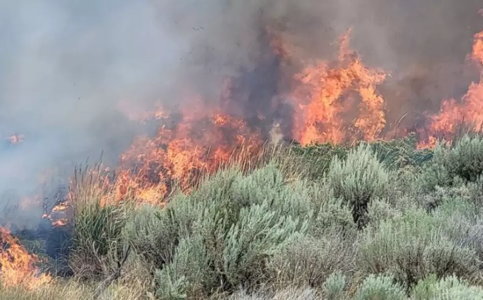 New Fire Bans on 7 WA Wildlife Refuges, Through September