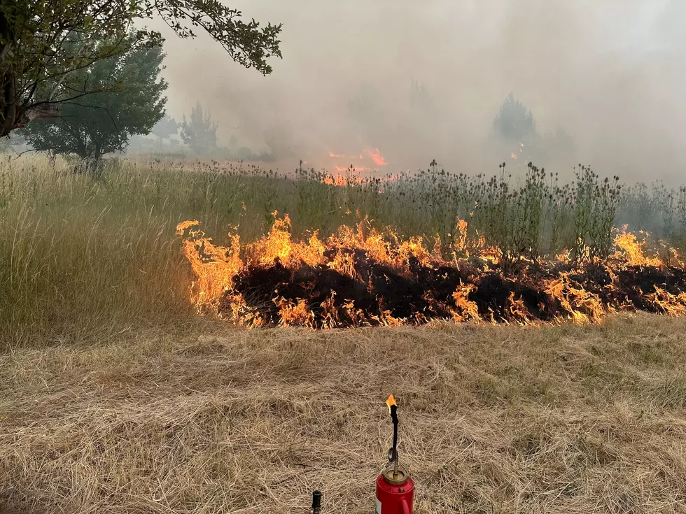 See Stunning Images of Oregon Lone Rock Wildfire