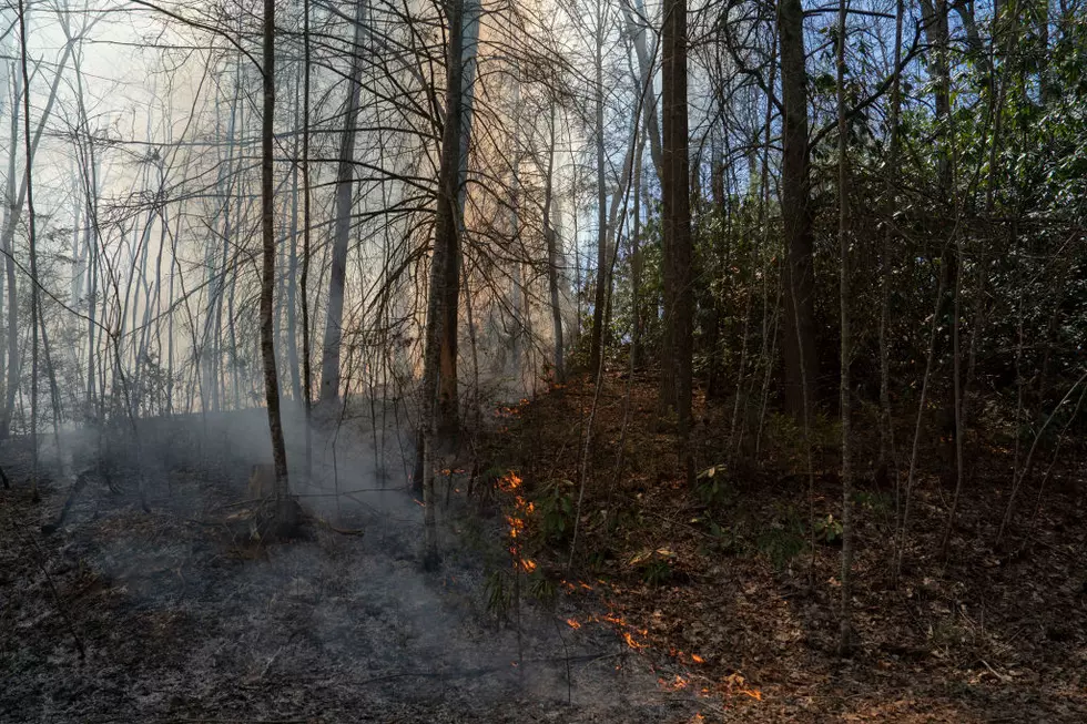 WA DNR to Donate Surplus Fire Engines to Rural Fire Districts