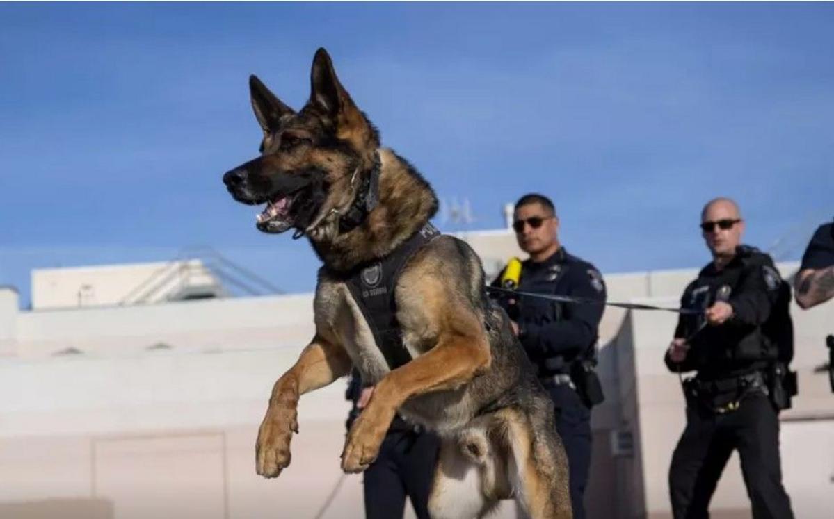 Kennewick Police–2025 Annual Report Shows Overall Crime Dropped 19 Percent