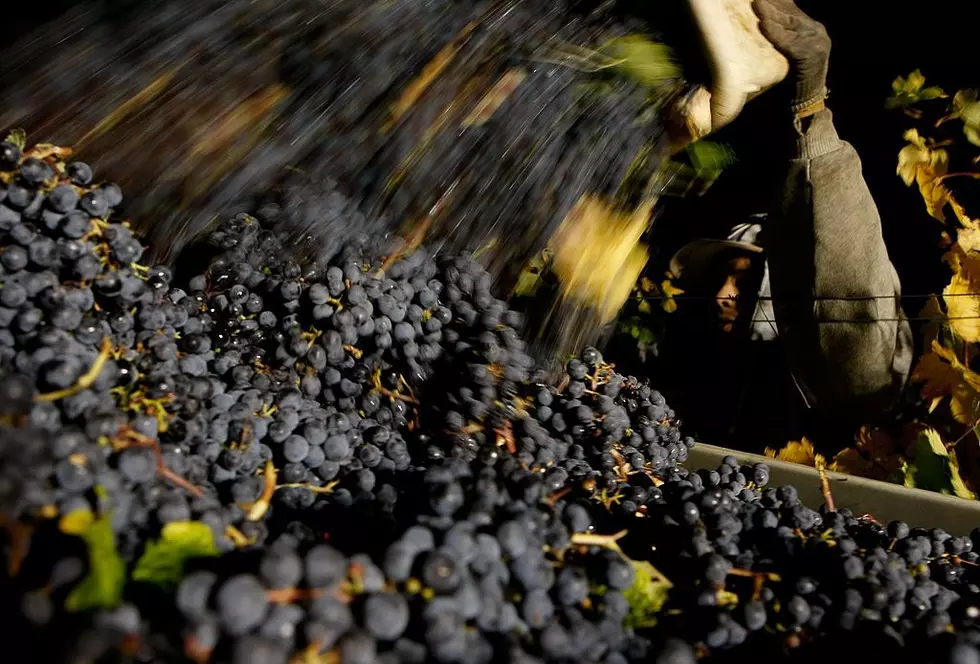 California Winemaker Buys Brand from Bankrupt Tri-Cities Pacific Rim Winery