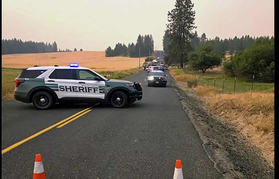 Spokane-Area Motorcycle Rider Dies After Hitting Moose on Rural County Road