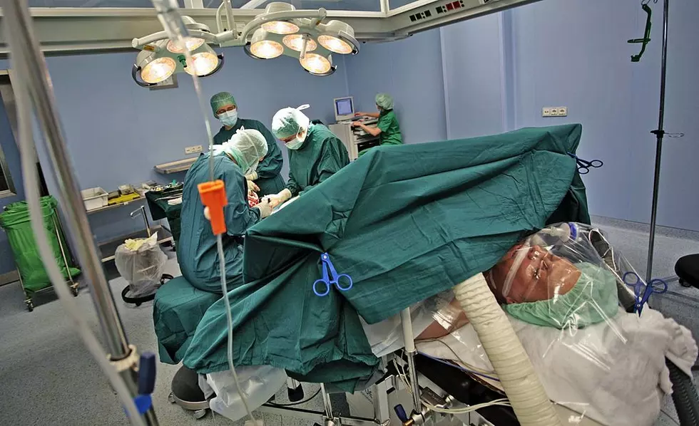 WA State Leads the US in Cosmetic Surgery Searches