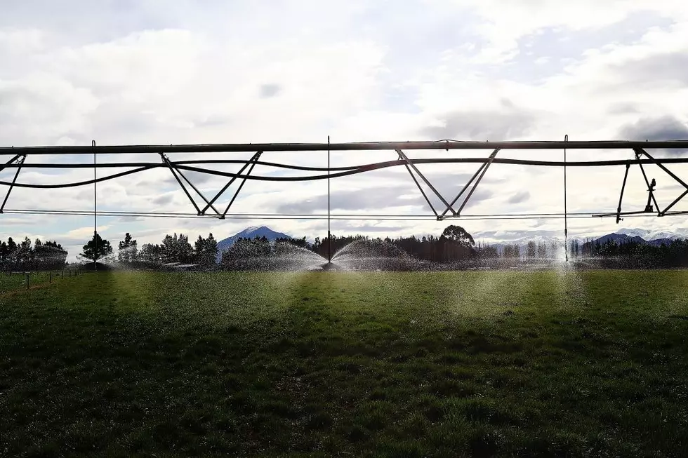 Irrigation, Water Update for Rest of Summer for Central, Southeast Washington