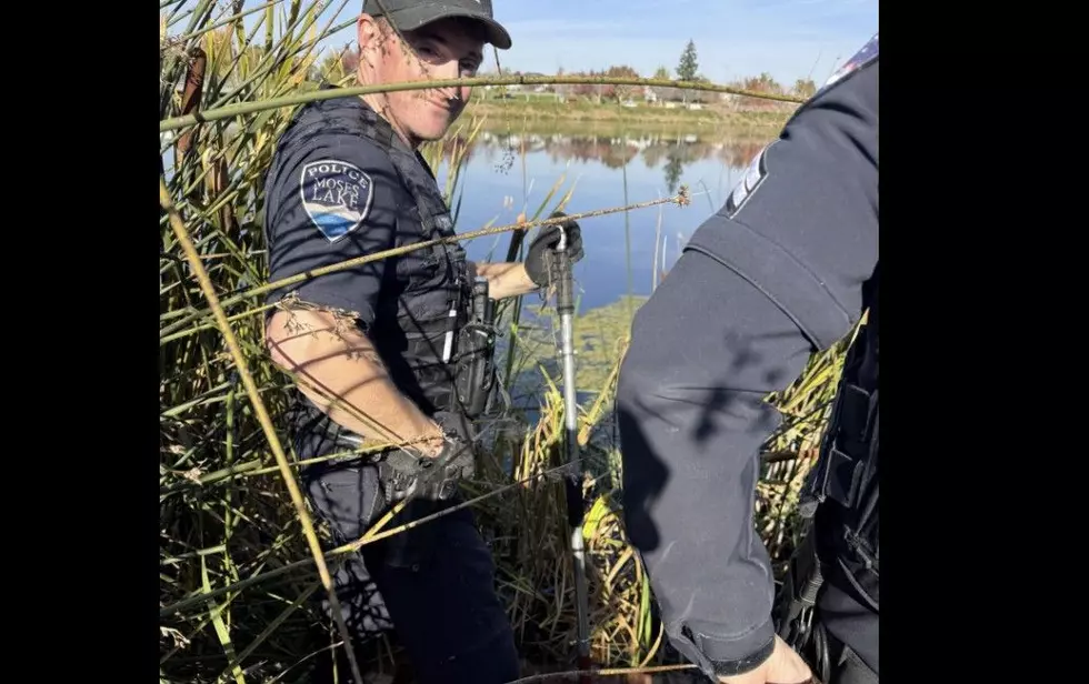Moses Lake Suspect Tries Walking on Water to Elude Cops—Fails