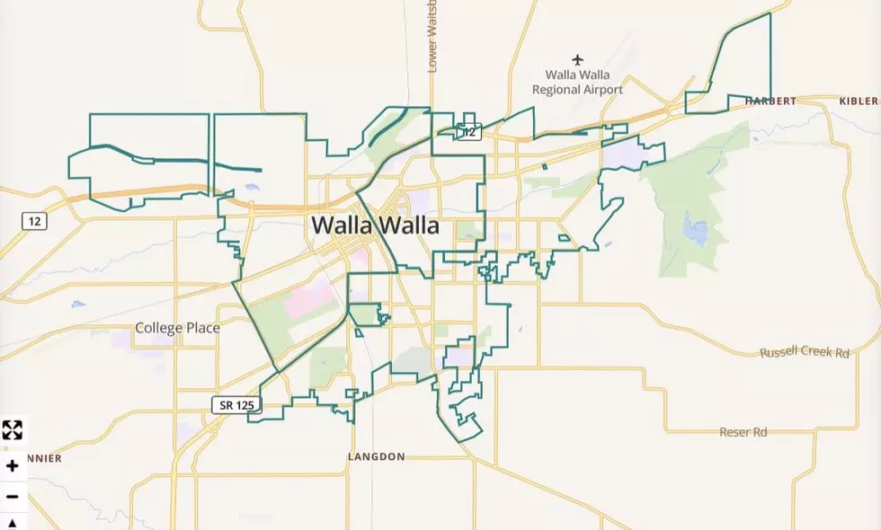 New Walla Walla Online Tool Helps Track Police, Criminal Activity