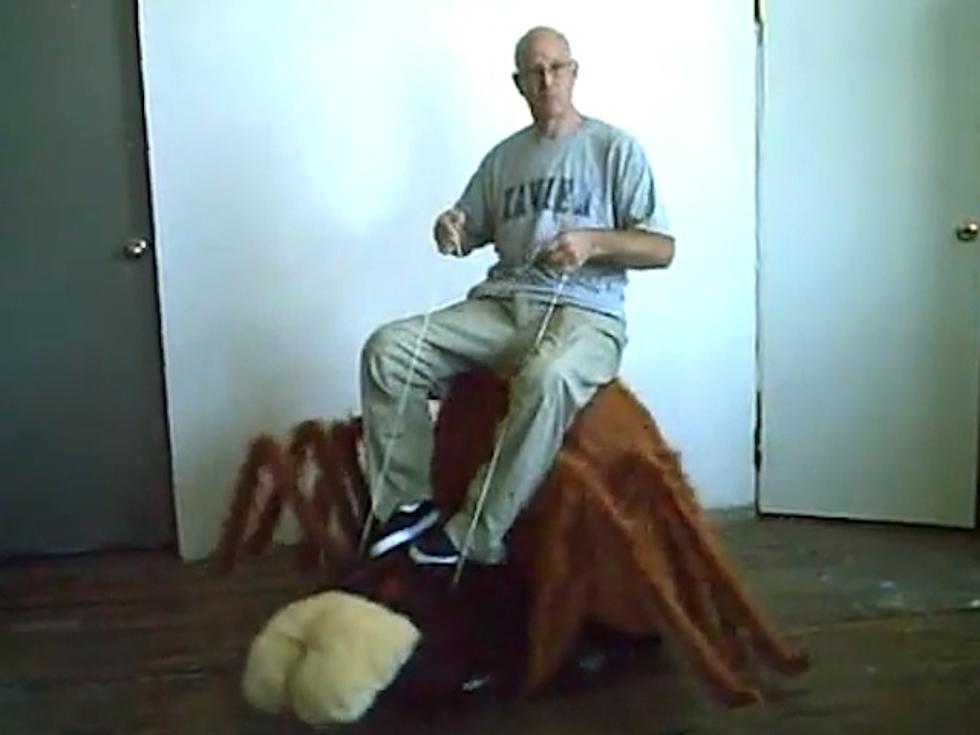 Guy Rides Giant Spider [VIDEO]