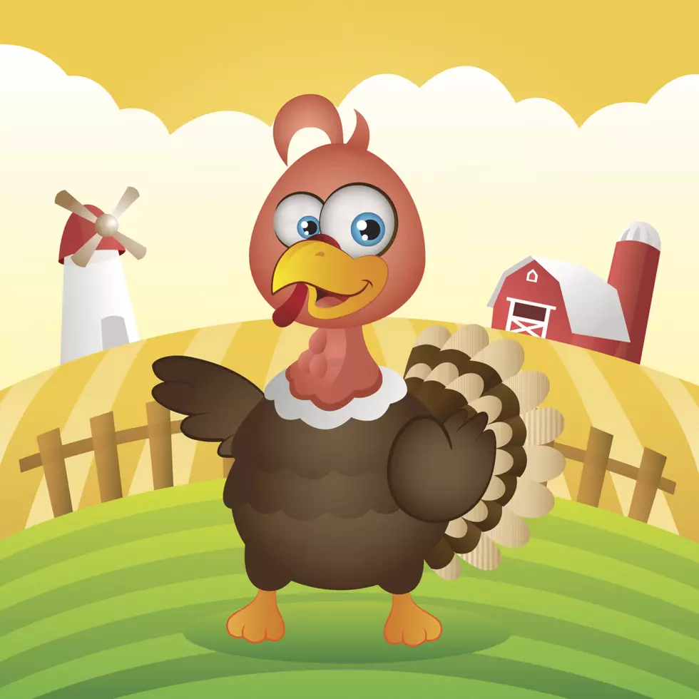 Facts About Thanksgiving From Mental Floss [VIDEO]
