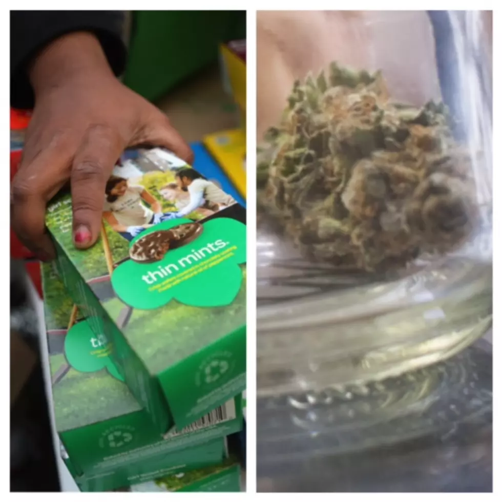 Girl Scout Sells Cookies Outside Of Marijuana Dispensary In Oregon — ‘Satisfy Your Munchies!’