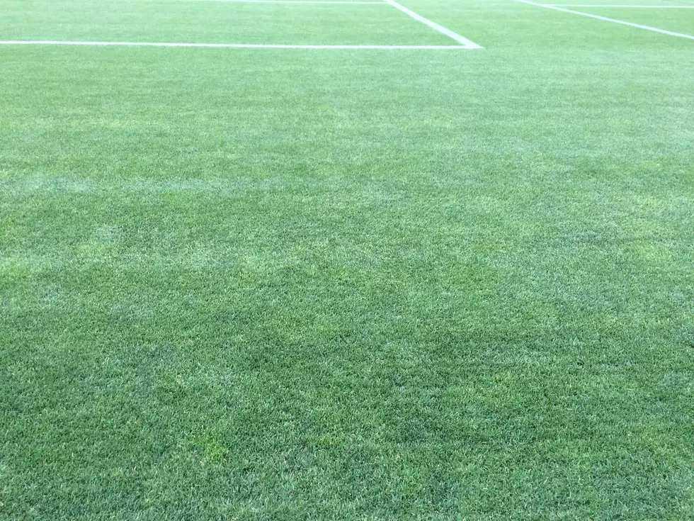 I Wish My Lawn Looked Like The Grass At Seattle Seahawks Training Camp