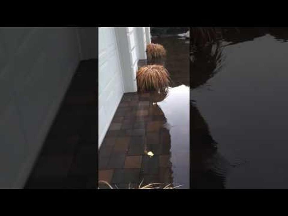 Lake Aspen Flooding Sucked Big-Time for Our Boss [VIDEOS]