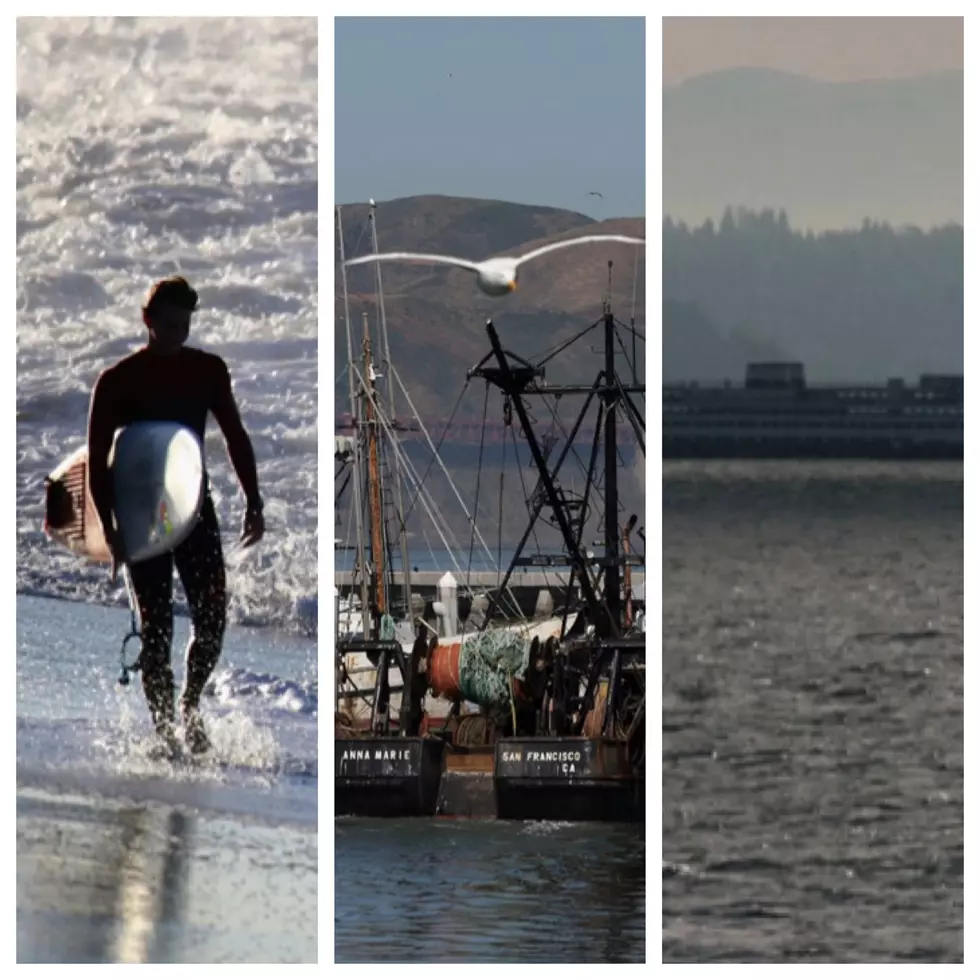Whose Coast is the Coolest — California, Oregon or Washington? [POLL]