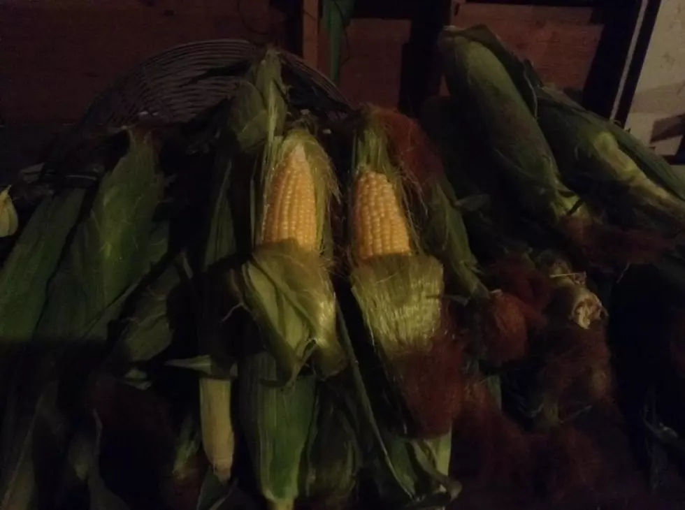 Calvert’s Corn Featured At Selah’s Wednesday Market