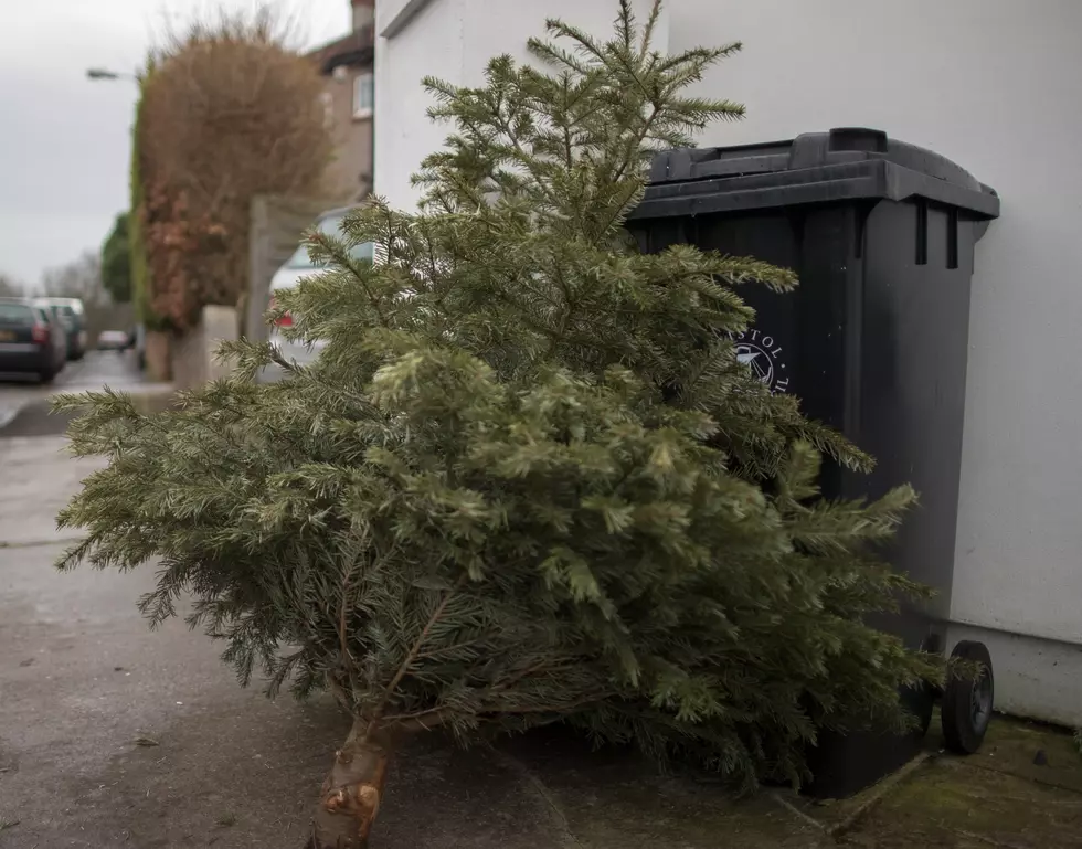 Still Need To Get Rid Of Your Christmas Tree? Here’s How If You Live In Yakima