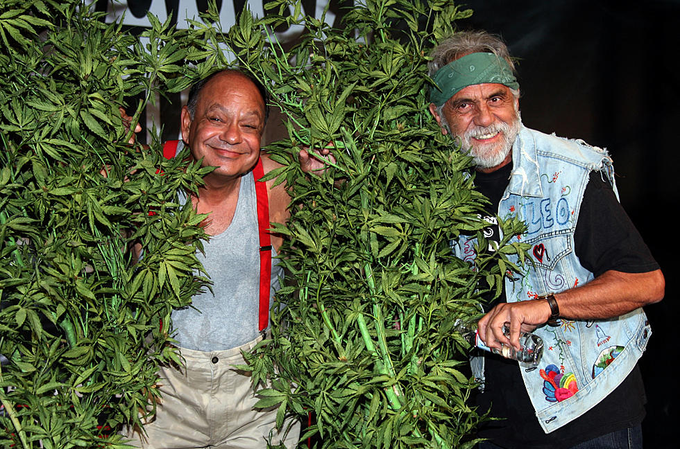 This Cheech & Chong Comic Is Giving You Plenty of Rolling Papers!