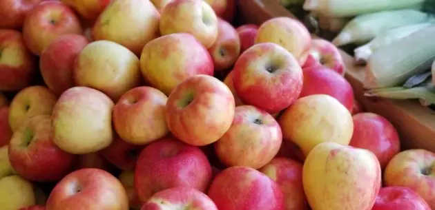 Fruit vs. Foos: August is Fruit Fighter Fridays Month