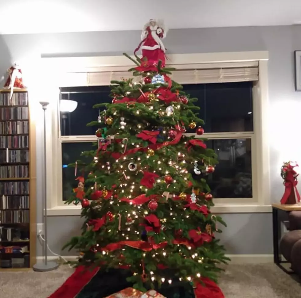 Todd’s Take: We Still Do Real When It Comes to Christmas Trees