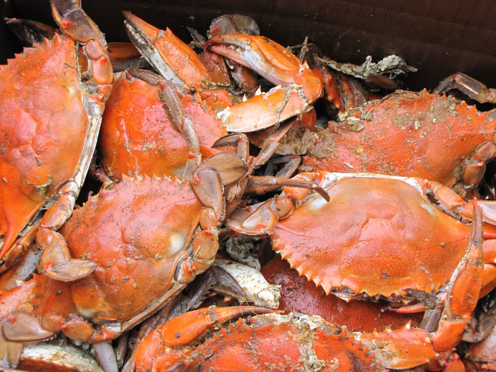 Kiwanis Clubs in Yakima to Host Drive-Thru “Rock the Crab” Feed