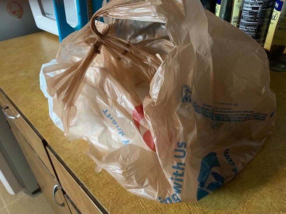 Plastic Bag Ban? Here&#8217;s Some Alternate Replacements For Your Stuff Carrier!