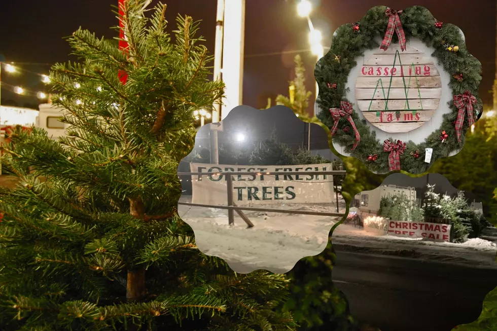 Clock&#8217;s Tickin&#8217;! 7 Places For A Christmas Tree In The Yakima Valley