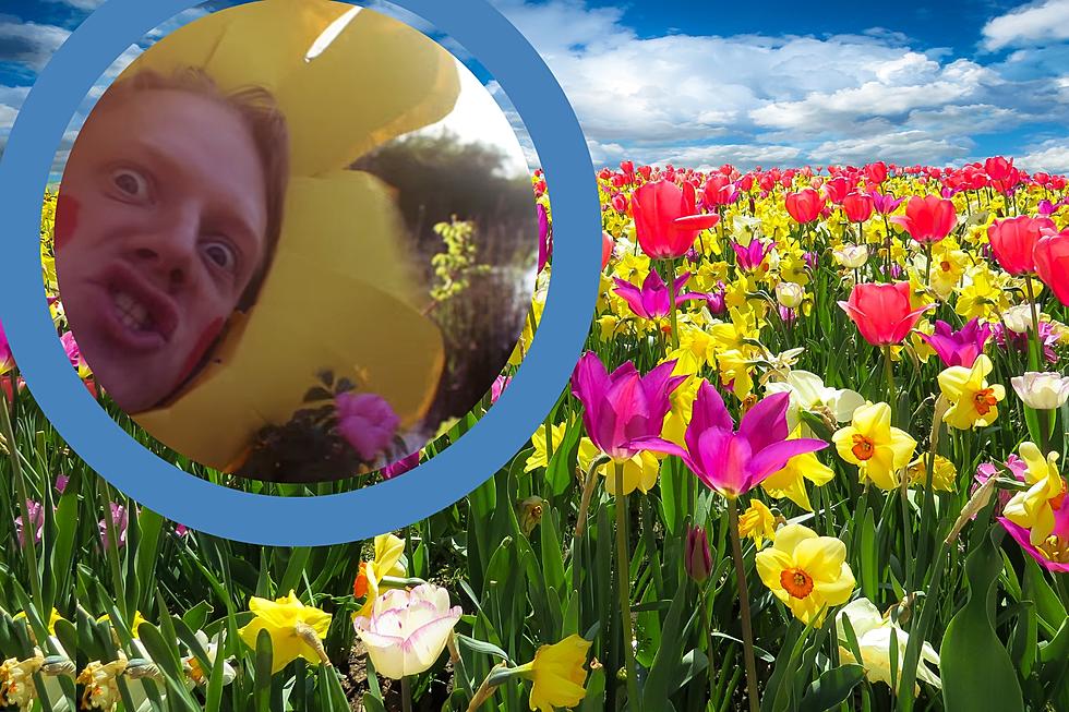 Watch Seattle Man’s Humorous Song Honoring Spring!