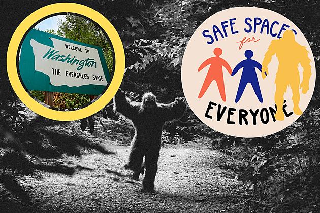 Safe Space For Sasquatch in Washington State!