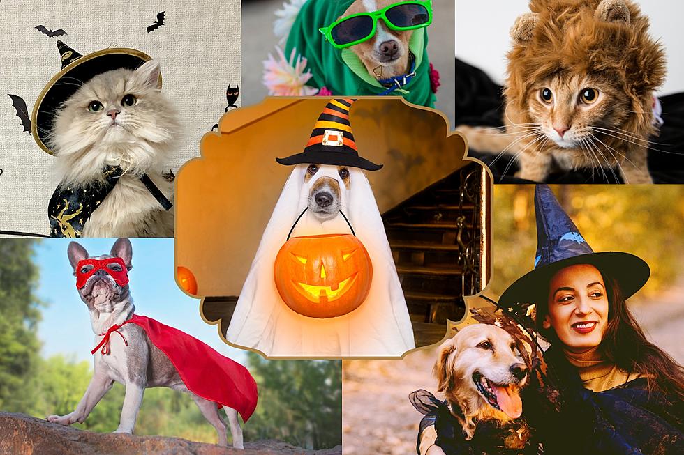 Woof or Treat! Yakima Humane Society’s Halloween Event!