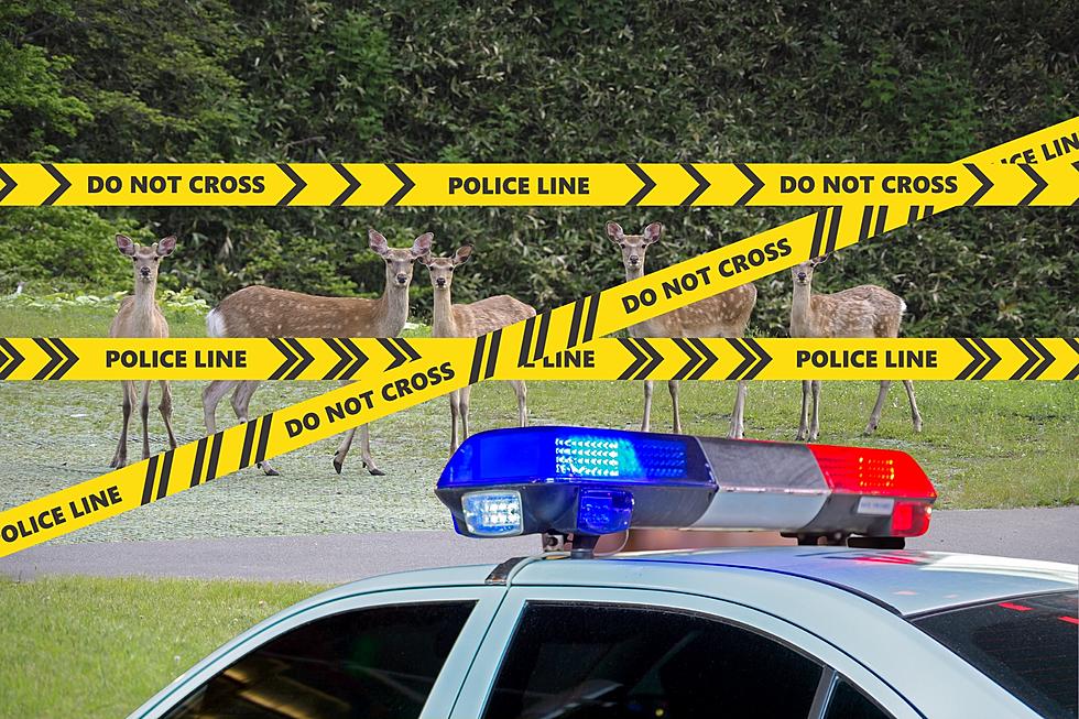 Washington Man Fatally Shot Trying to Save a Deer