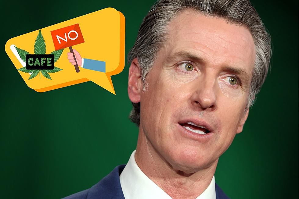 Gov. Newsom Says Nope to the Dope (Cafes) in CA, Will WA Follow?