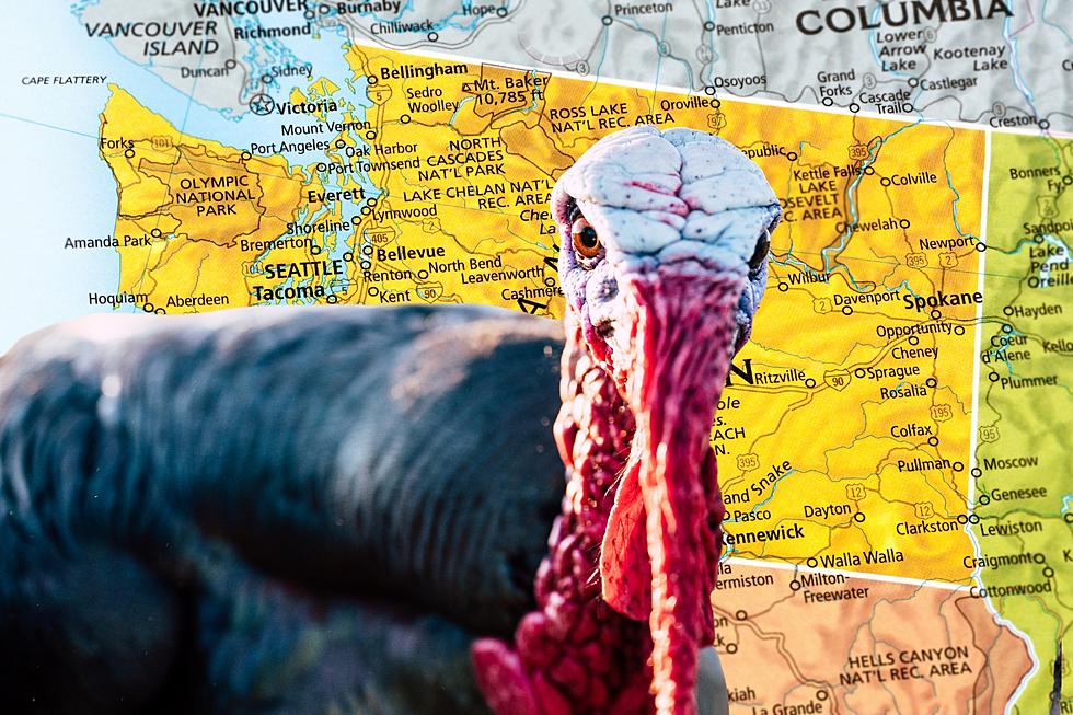 Is This Washington City Facing A Turkey Apocalypse!?!