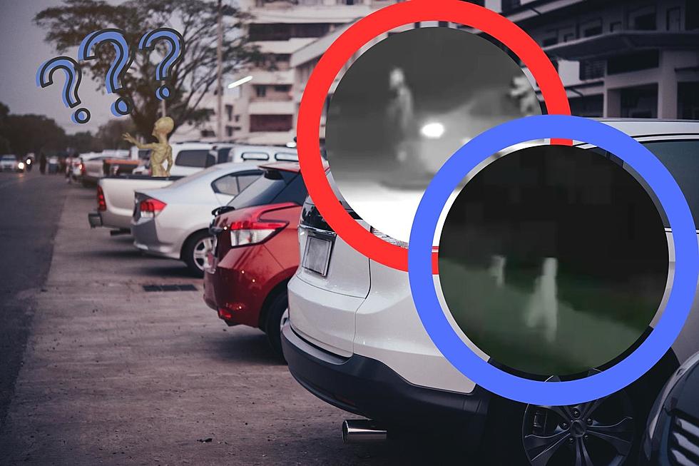 WTF?! Video Of Strange Creature In California Parking Lot