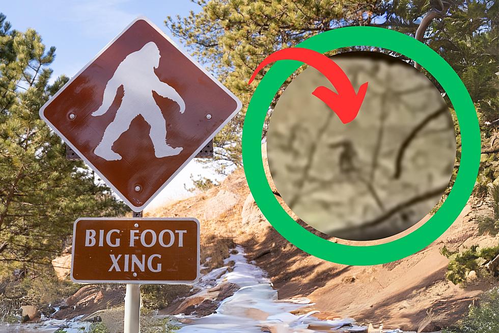 Bigfoot Captured On Oregon Hillside Video