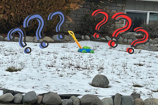 WTF!?! Bubble Mower Unequipped For Harsh Washington Winter