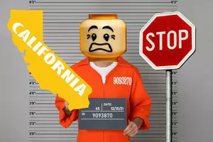 LEGOH-NO! California Police Department Asked To Stop This