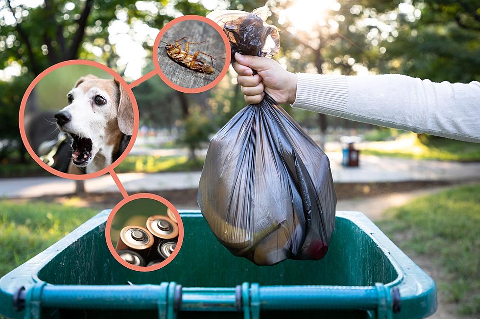 Don’t Throw Away These 23 Things In Washington