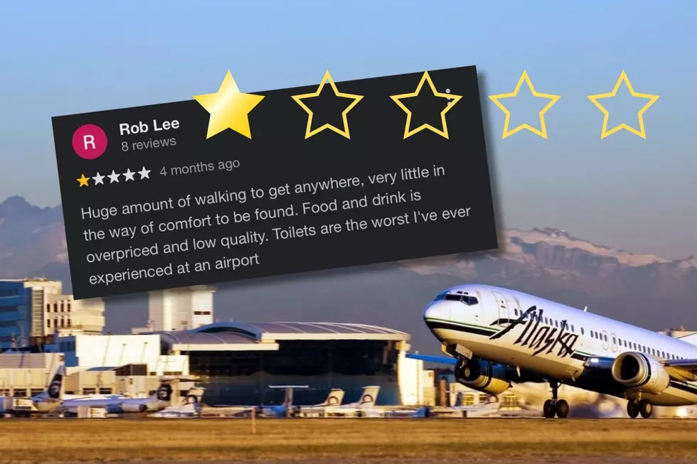 39 Seattle-Tacoma International Airport 1-Star Google Reviews!
