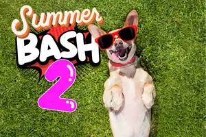 Paws Up! 2nd Annual Yakima Humane Society Summer Bash!