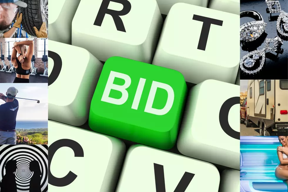 Bid Now & Seize The Deal! Our Spring Online Auction Is LIVE!