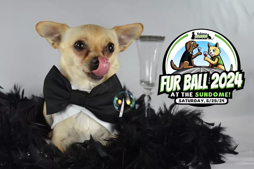 Yakima Humane Society’s Annual Fur Ball Is Saturday!