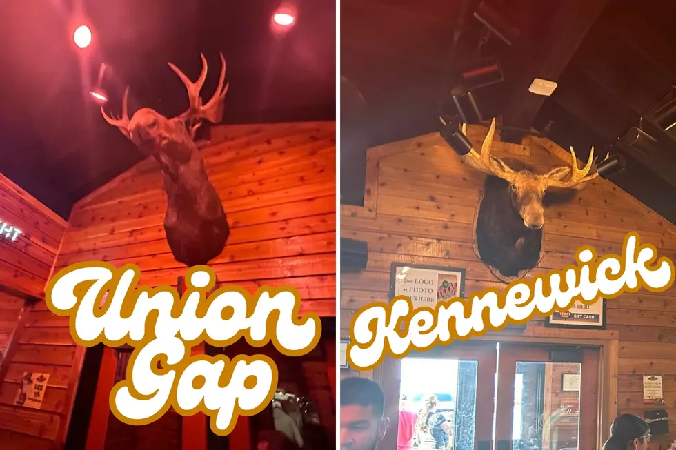 stuffed animal heads mounted on the wall inside a restaurant.