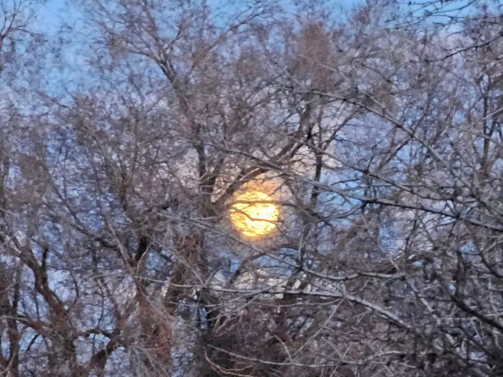 red and white moon