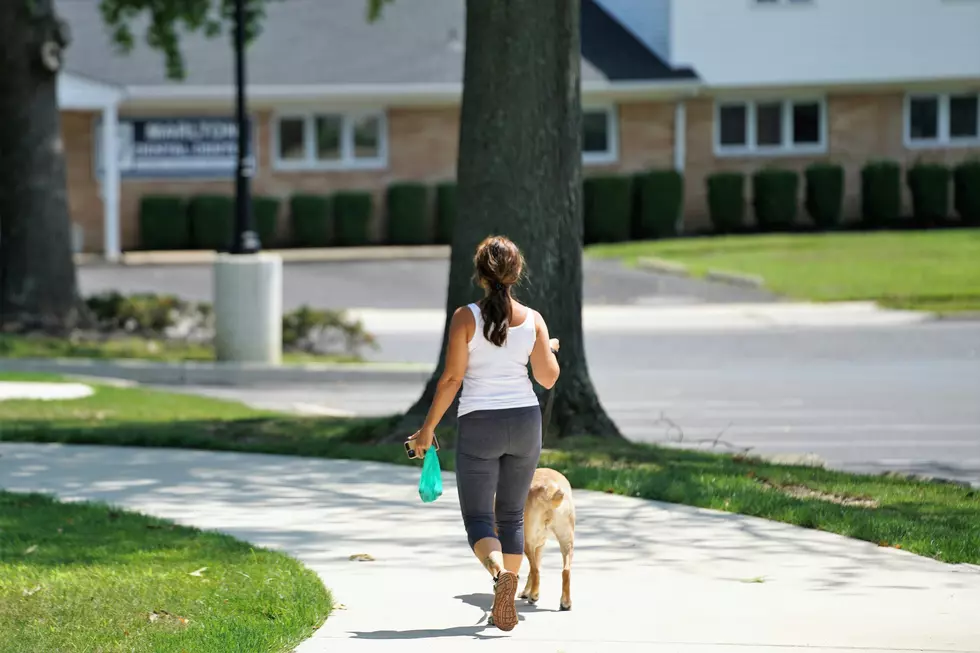 11 Perfect Summer Jobs For Washington Teens