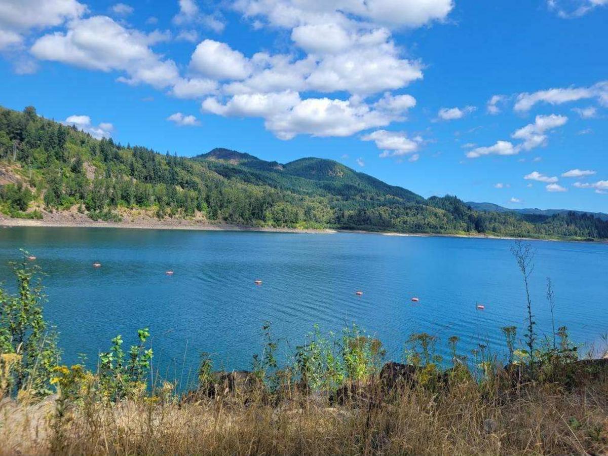 Best Fishing in Washington, 5 Must-Visit Lakes