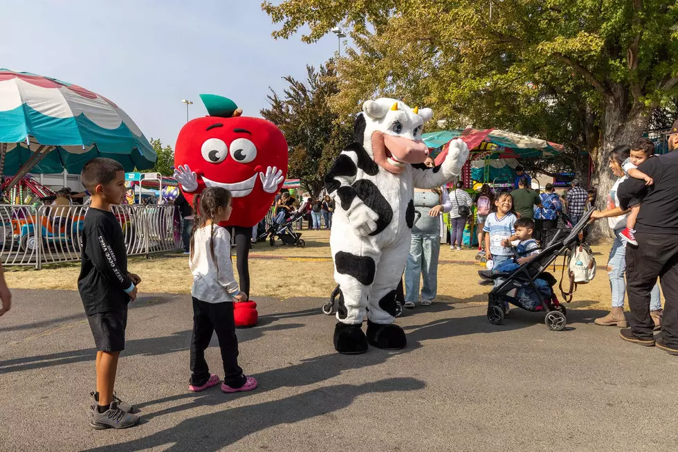 6 New Things to Expect at the Central Washington State Fair
