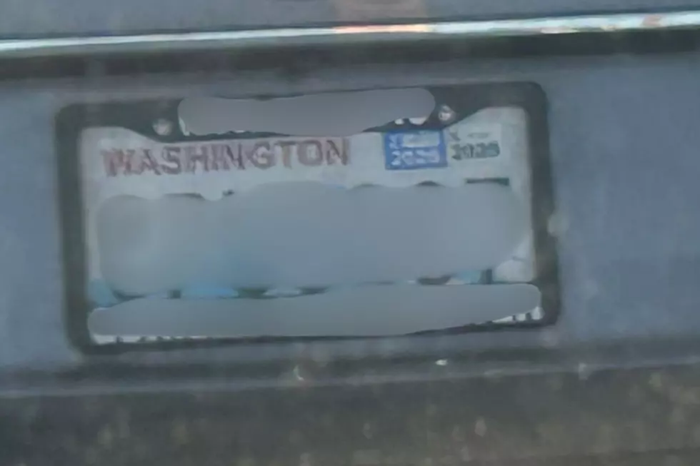 license plate